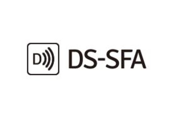 DS-SFA_item1