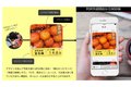 お店専用スマホアプリ開設サービス「ぽぷろう」_thum5