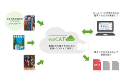 ecoCAT ClouD_model1