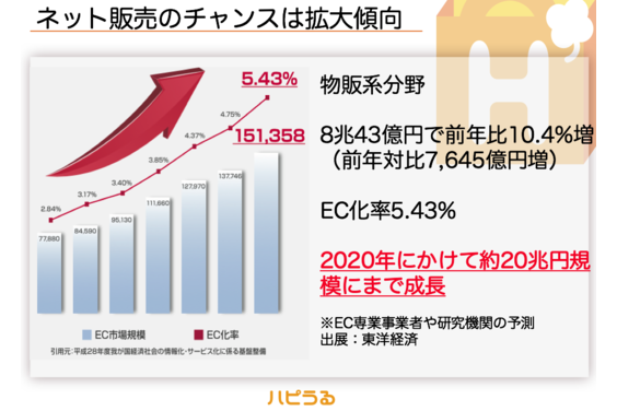 収益保証・利益確約型ネット販売「ハピうる」_item5