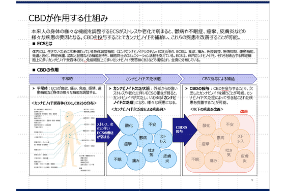 BulkUp Consulting, K.K._item5