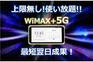 WiMAX+5G