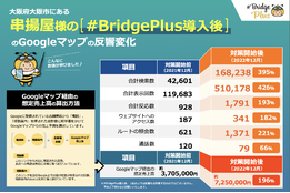 #Bridge Plus_case1