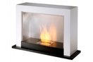 ecosmart fire